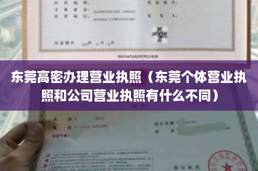 东莞高密办理营业执照（东莞个体营业执照和公司营业执照有什么不同）