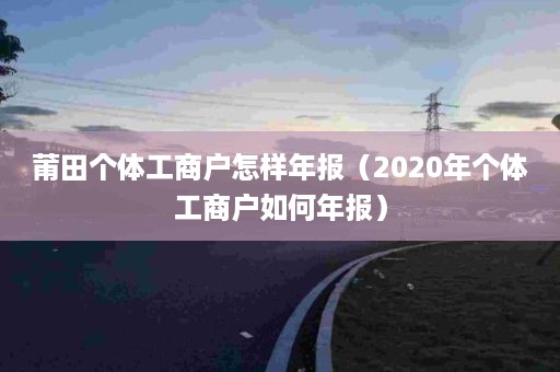 莆田个体工商户怎样年报（2020年个体工商户如何年报）