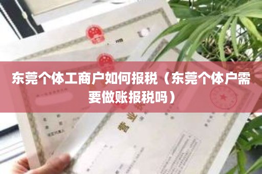 东莞个体工商户如何报税（东莞个体户需要做账报税吗）