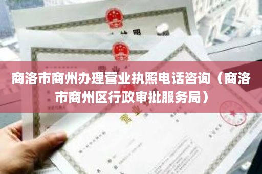 商洛市商州办理营业执照电话咨询（商洛市商州区行政审批服务局）