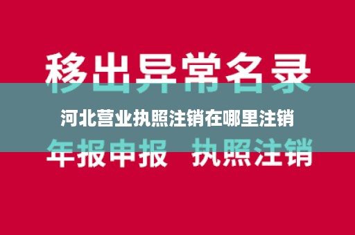 河北营业执照注销在哪里注销