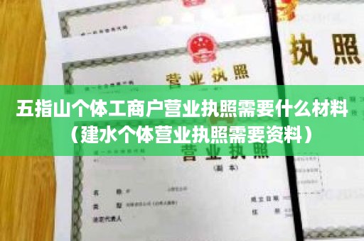 五指山个体工商户营业执照需要什么材料（建水个体营业执照需要资料）