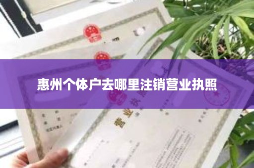 惠州个体户去哪里注销营业执照