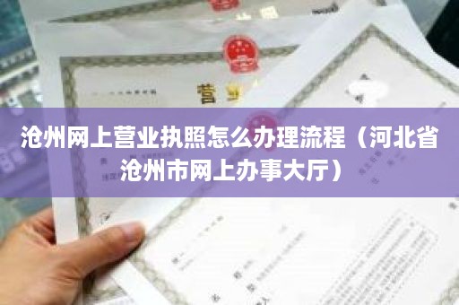 沧州网上营业执照怎么办理流程（河北省沧州市网上办事大厅）