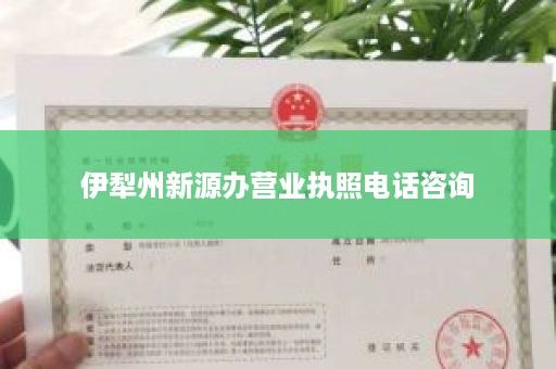 伊犁州新源办营业执照电话咨询