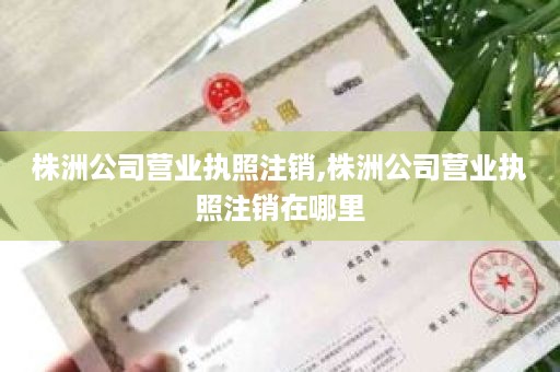 株洲公司营业执照注销,株洲公司营业执照注销在哪里