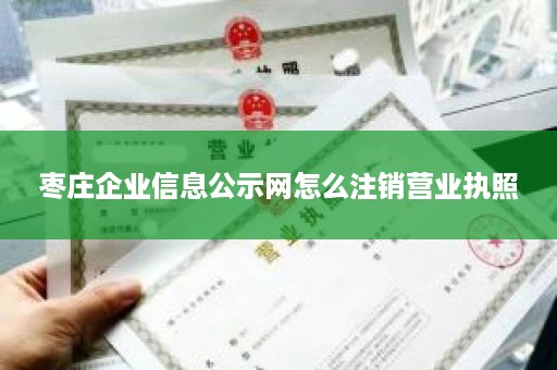 枣庄企业信息公示网怎么注销营业执照