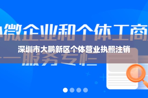 深圳市大鹏新区个体营业执照注销