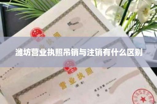 潍坊营业执照吊销与注销有什么区别