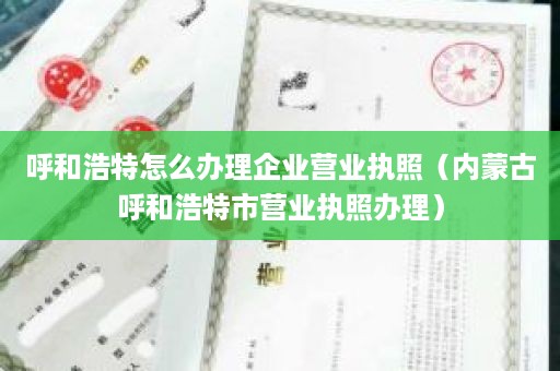 呼和浩特怎么办理企业营业执照（内蒙古呼和浩特市营业执照办理）