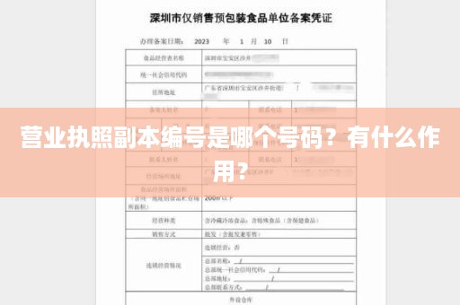 营业执照副本编号是哪个号码？有什么作用？