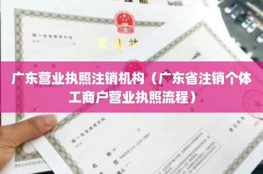 广东营业执照注销机构（广东省注销个体工商户营业执照流程）