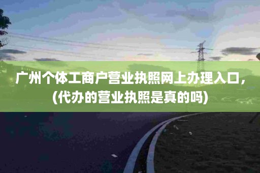 广州个体工商户营业执照网上办理入口，(代办的营业执照是真的吗)