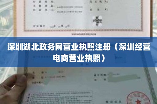 深圳湖北政务网营业执照注册（深圳经营电商营业执照）