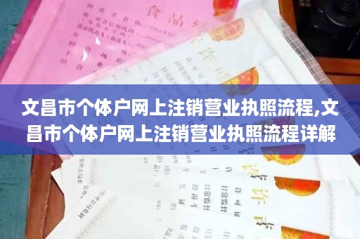 文昌市个体户网上注销营业执照流程,文昌市个体户网上注销营业执照流程详解