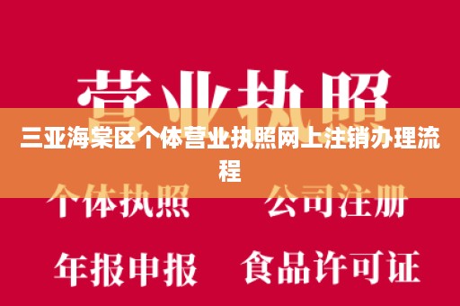 三亚海棠区个体营业执照网上注销办理流程