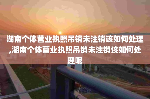 湖南个体营业执照吊销未注销该如何处理,湖南个体营业执照吊销未注销该如何处理呢