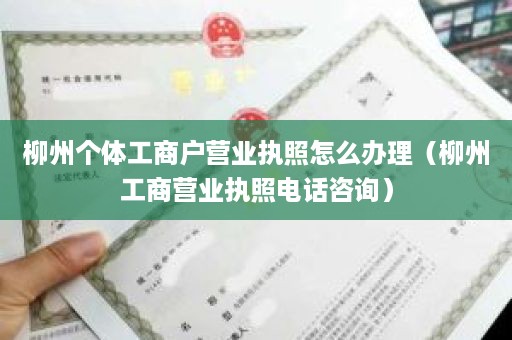 柳州个体工商户营业执照怎么办理（柳州工商营业执照电话咨询）