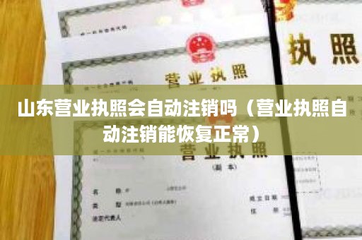 山东营业执照会自动注销吗（营业执照自动注销能恢复正常）