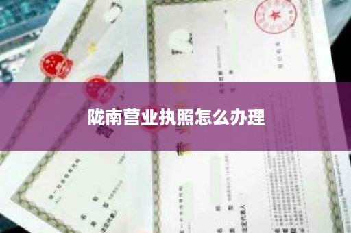 陇南营业执照怎么办理