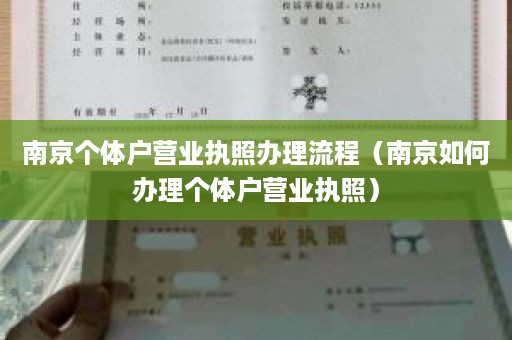 南京个体户营业执照办理流程（南京如何办理个体户营业执照）