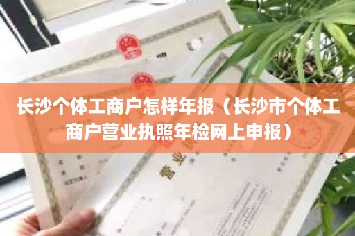 长沙个体工商户怎样年报（长沙市个体工商户营业执照年检网上申报）