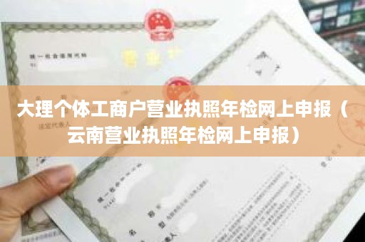 大理个体工商户营业执照年检网上申报（云南营业执照年检网上申报）