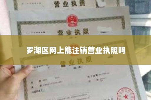 罗湖区网上能注销营业执照吗