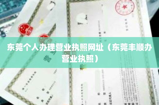 东莞个人办理营业执照网址（东莞丰顺办营业执照）