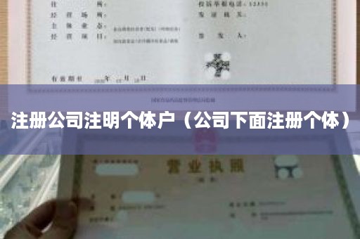 注册公司注明个体户（公司下面注册个体）