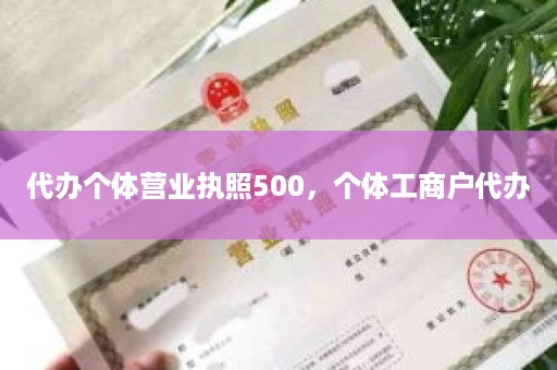 代办个体营业执照500，个体工商户代办