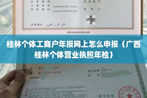 桂林个体工商户年报网上怎么申报（广西桂林个体营业执照年检）