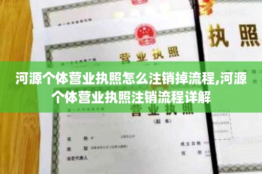 河源个体营业执照怎么注销掉流程,河源个体营业执照注销流程详解