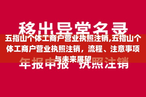 五指山个体工商户营业执照注销,五指山个体工商户营业执照注销，流程、注意事项与未来展望