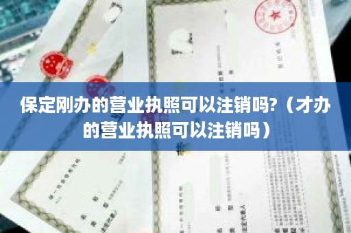 保定刚办的营业执照可以注销吗?（才办的营业执照可以注销吗）