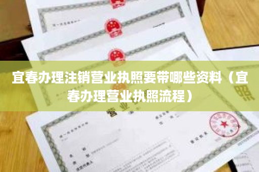 宜春办理注销营业执照要带哪些资料（宜春办理营业执照流程）