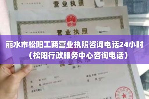 丽水市松阳工商营业执照咨询电话24小时（松阳行政服务中心咨询电话）