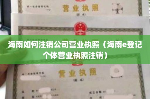 海南如何注销公司营业执照（海南e登记个体营业执照注销）