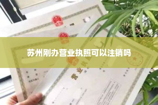 苏州刚办营业执照可以注销吗