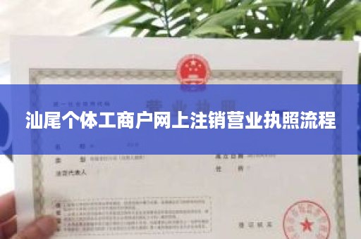 汕尾个体工商户网上注销营业执照流程