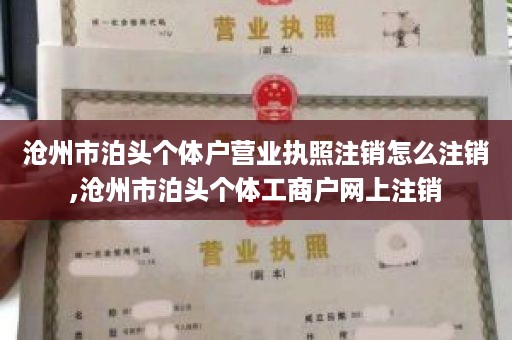 沧州市泊头个体户营业执照注销怎么注销,沧州市泊头个体工商户网上注销