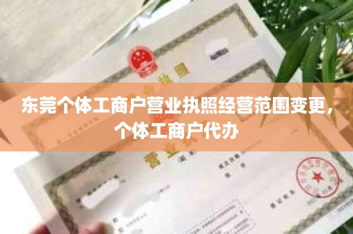 东莞个体工商户营业执照经营范围变更，个体工商户代办