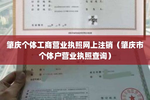 肇庆个体工商营业执照网上注销（肇庆市个体户营业执照查询）