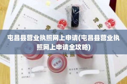 屯昌县营业执照网上申请(屯昌县营业执照网上申请全攻略)