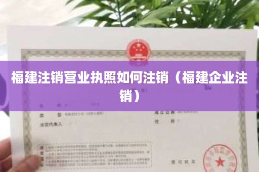 福建注销营业执照如何注销（福建企业注销）