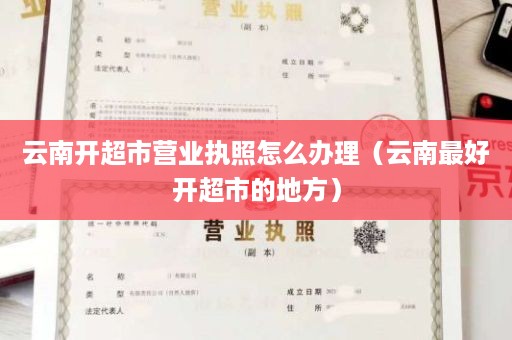 云南开超市营业执照怎么办理（云南最好开超市的地方）