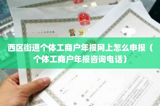 西区街道个体工商户年报网上怎么申报（个体工商户年报咨询电话）