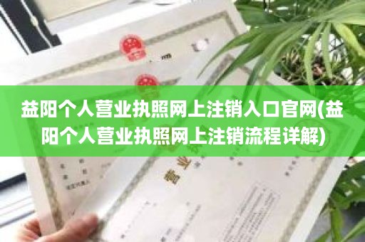 益阳个人营业执照网上注销入口官网(益阳个人营业执照网上注销流程详解)