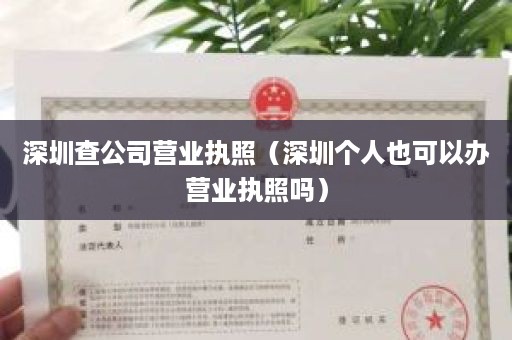 深圳查公司营业执照（深圳个人也可以办营业执照吗）