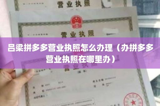 吕梁拼多多营业执照怎么办理（办拼多多营业执照在哪里办）